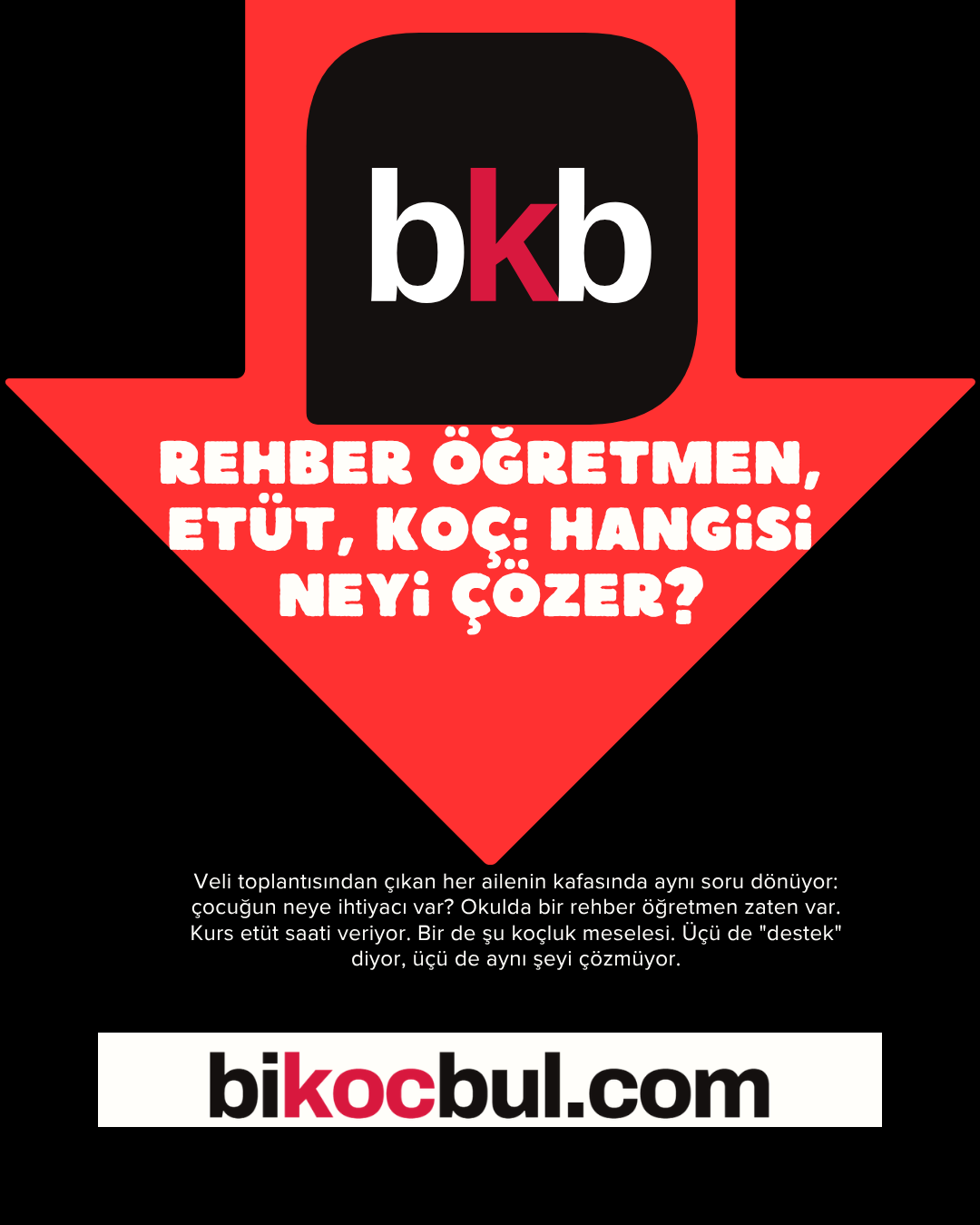 Rehber öğretmen, etüt, öğrenci koçu: hangisi neyi çözer?