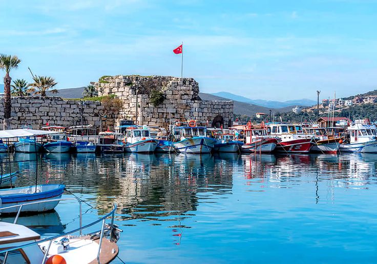 Seferihisar Eğitim Koçu 28 LGS ve YKS Öğrenci Koçu